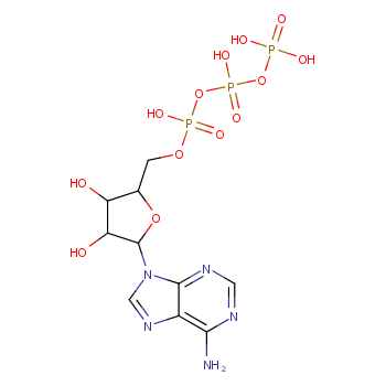 5'-三磷酸腺苷