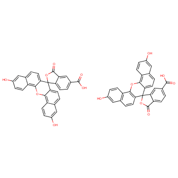 5(6)-羧基萘基荧光素