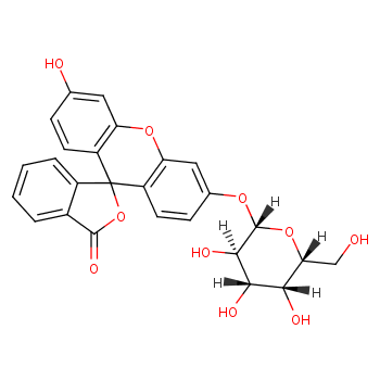 Fluorescein b-D-galactopyranoside