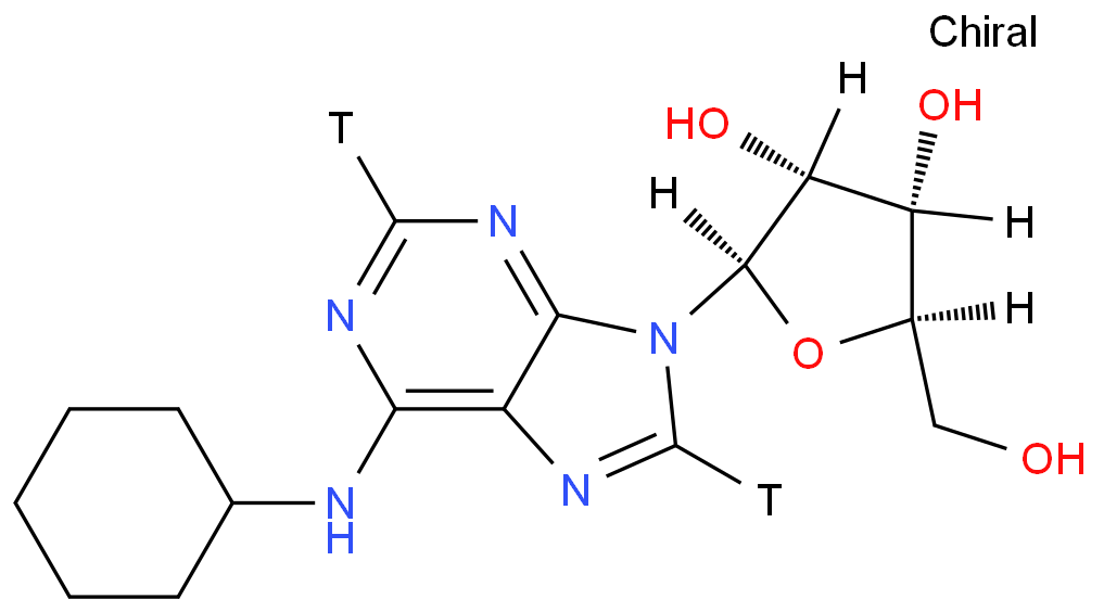 N 6-CYCLOHEXYLADENOSINE-[2,8-3H]