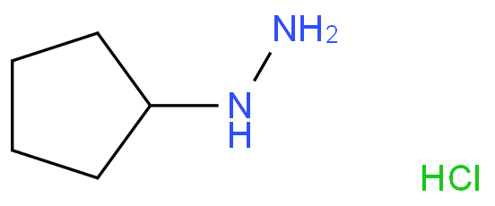 cyclopentyl hydrazine hydrochloride  