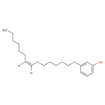 Cardo polymersCard-phenol  