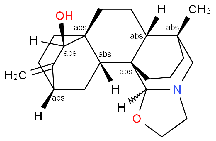 Anthora - Wikipedia