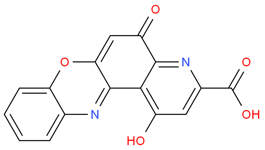 1,5-dioxo-4H-pyrido[3,2-a]phenoxazine-3-carboxylic acid