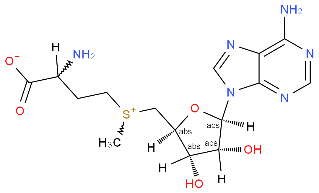 S-腺苷蛋氨酸/17176-17-9