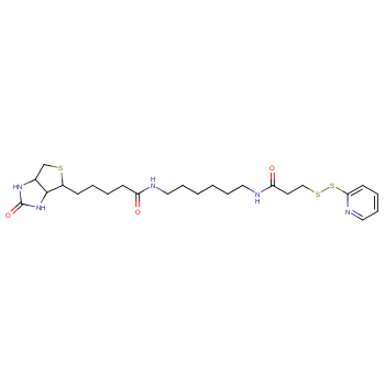 N-(6-[生物素胺]己基)- 3-(2-吡啶二硫) 丙酰胺 CAS号:129179-83-5科研及生产专用 高校及研究所支持货到付款