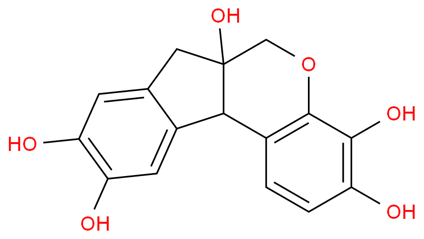 HEMATOXYLIN