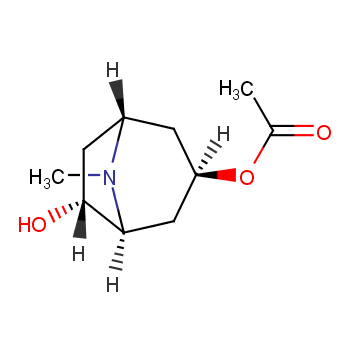 8-Methyl-8-azabicyclo[3.2.1]octane-3,6-diol, 9CI; (3RS,6RS)-form, 3-O-Ac价格, 8-Methyl-8-azabicyclo[3.2.1]octane-3,6-diol, 9CI; (3RS,6RS)-form, 3-O-Ac对照品, CAS号:7688-76-8