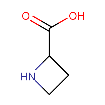 2133-34-8 L-吖啶-2-羧酸 结构式图片