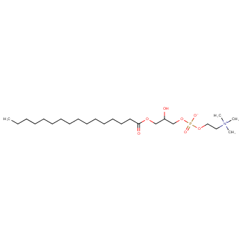 Lysophosphatidyl choline