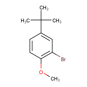 2-溴-4-叔丁基 1-甲氧基苯CAS号41280-65-3(科研试剂/现货供应,质量保证)