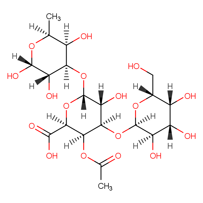 多糖的分子结构示意图图片