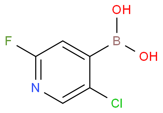 2-氟-5-氯吡啶-4-硼酸，CAS号：1034659-38-5现货直销产品