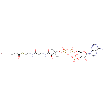 丙酰基辅酶A,锂盐/108321-21-7