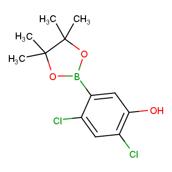 2,4-二氯-5-(4,4,5,5-四甲基-1,3,2-二氧硼杂环戊烷-2-基)苯酚/1256360-32-3