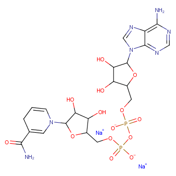 β-烟酰胺腺嘌呤二核苷酸二钠盐(还原性辅酶I)606-68-8