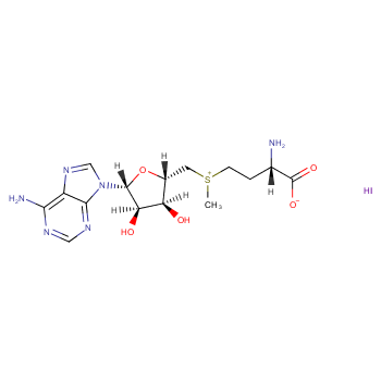 S-腺苷基-L-蛋氨碘盐价格, S-Adenosyl-L-Methionine iodide salt对照品, CAS号:3493-13-8