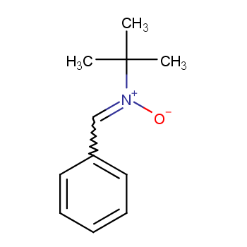N-叔丁基-α-苯基硝酮 3376-24-7 A17442-1g