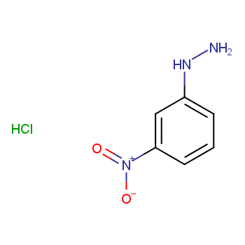 3-硝基苯肼-13C6.HCl