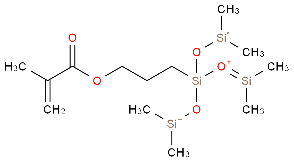 17096-08-1 甲基丙烯酰氧丙基三(二甲基硅氧烷基)硅烷 结构式图片