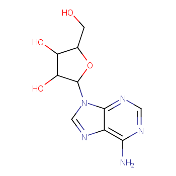 阿糖腺苷5536-17-4