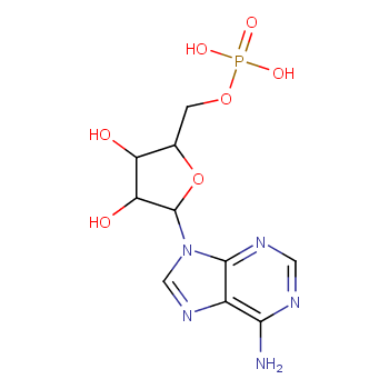 Adenosine 5'-monophosphate structure