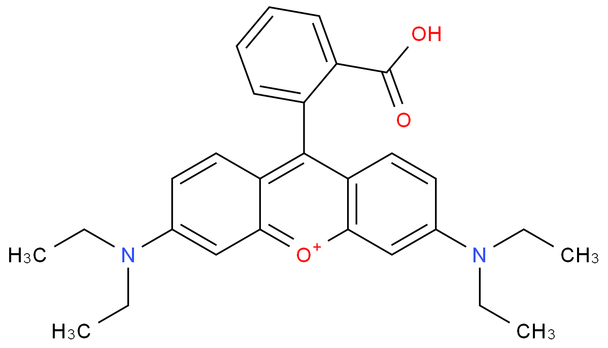 Rhodamine B  