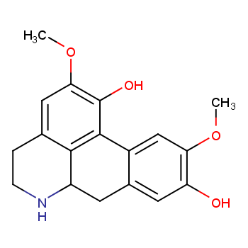 Norisoboldine