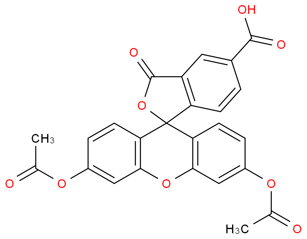 5-羧基荧光素二乙酸酯79955-27-4