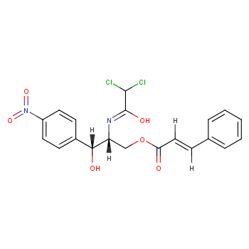 chloramphenicol cinnamate