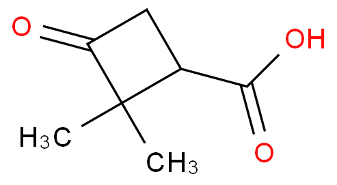 2,2-DiMethyl-3-oxocyclobutanecarboxylic acid
