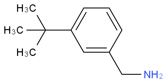 (3-(叔丁基)苯基)甲胺/608515-16-8