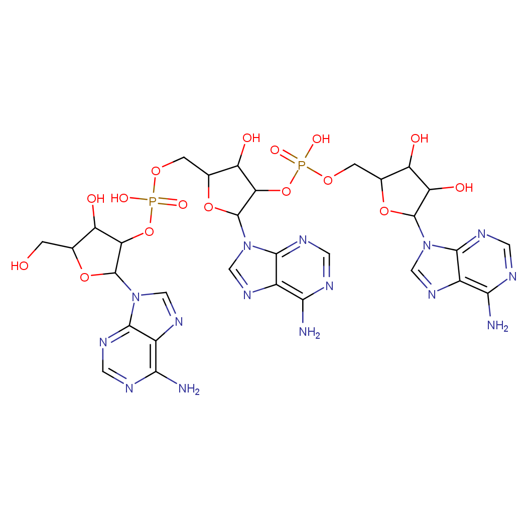 腺苷酰-(2'-5')-腺苷酰-(2'-5')腺苷