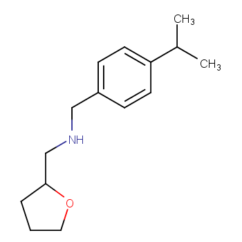 (4-ISOPROPYL-BENZYL)(TETRAHYDROFURAN-2-YL-METHYL)AMINE