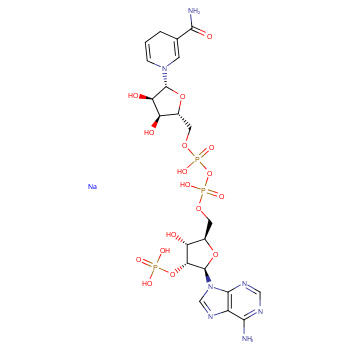β-烟酰胺腺嘌呤二核苷酸磷酸四钠盐(还原型)2646-71-1