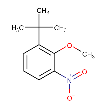 1-(叔丁基)-2-甲氧基-3-硝基苯CAS号18515-05-4；（科研试剂/现货供应，质量保证）