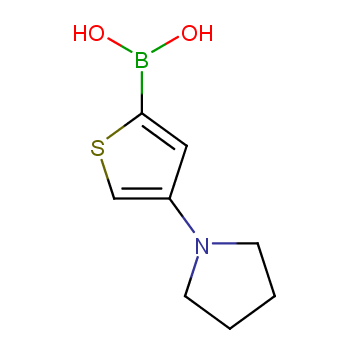 [Perfemiker]4-(Pyrrolidino)thiophene-2-boronic acid,95%