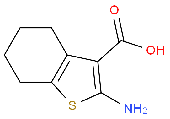2-氨基-4,5,6,7-四氢苯并[B]噻吩-3-羧酸