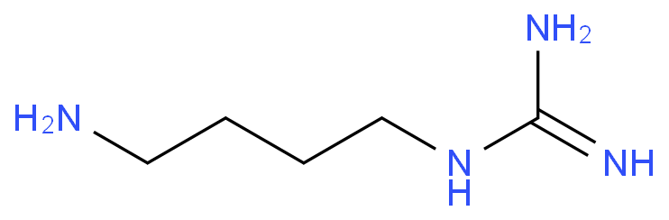 2-(4-aminobutyl)guanidine