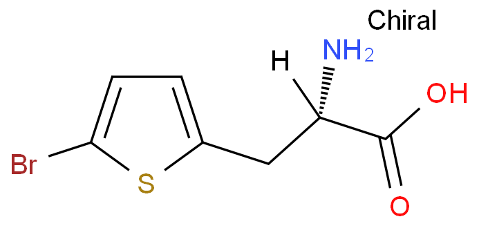 L-3-(2-(5-溴噻吩))丙氨酸 CAS号:154593-58-5科研及生产专用 高校及研究所支持货到付款