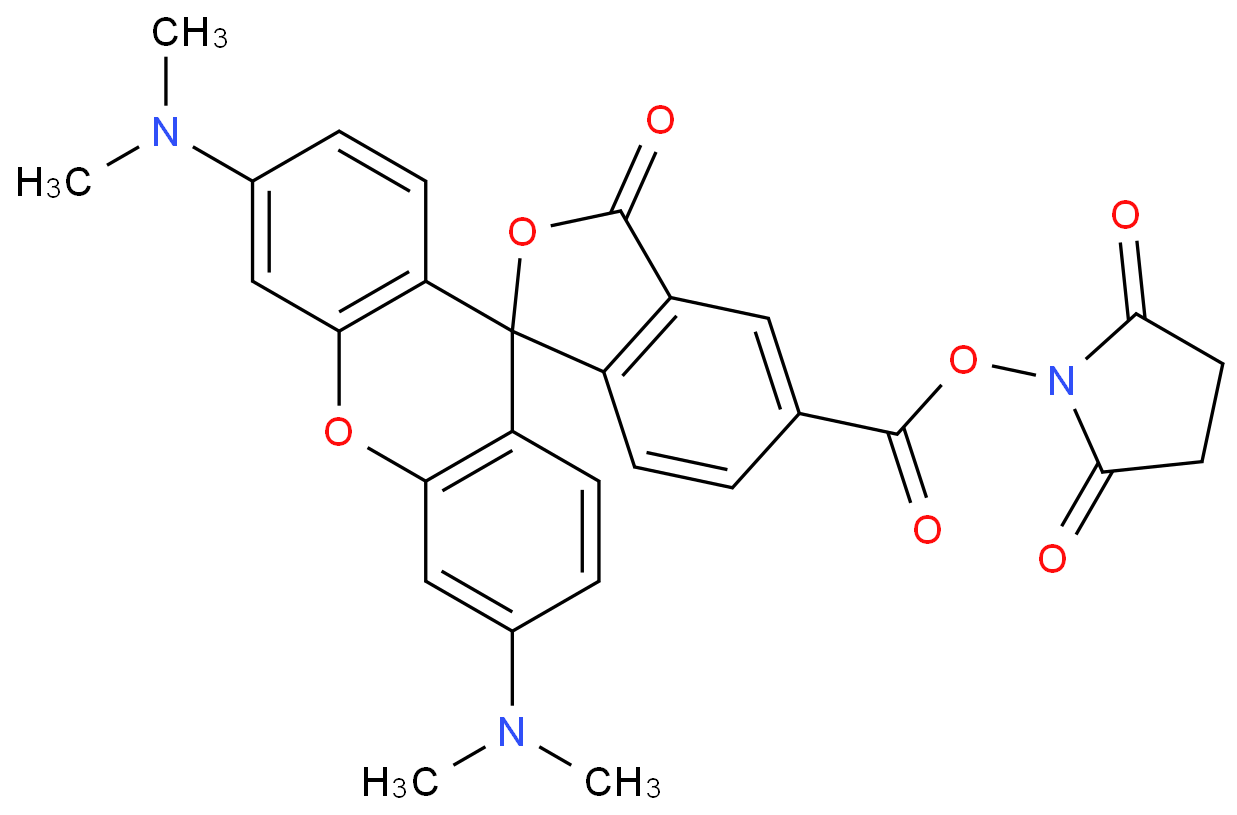 5(6)-羧基四甲基罗丹明琥珀酰亚胺酯246256-50-8