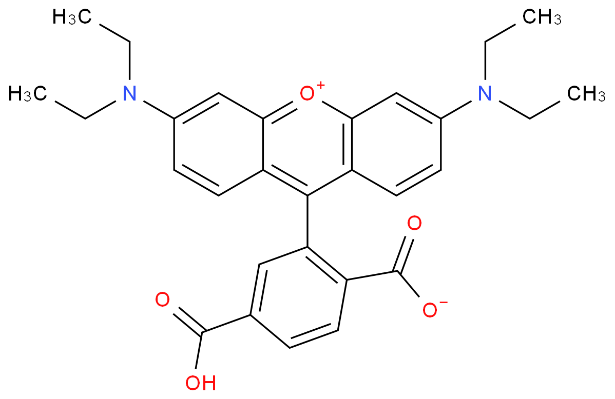 4-carboxy-3-[3-(diethylamino)-6-diethylazaniumylidenexanthen-9-yl]benzoate