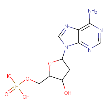 2'-脱氧腺苷-5'-单磷酸/653-63-4