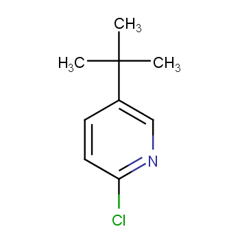 5-tert-butyl-2-chloropyridine