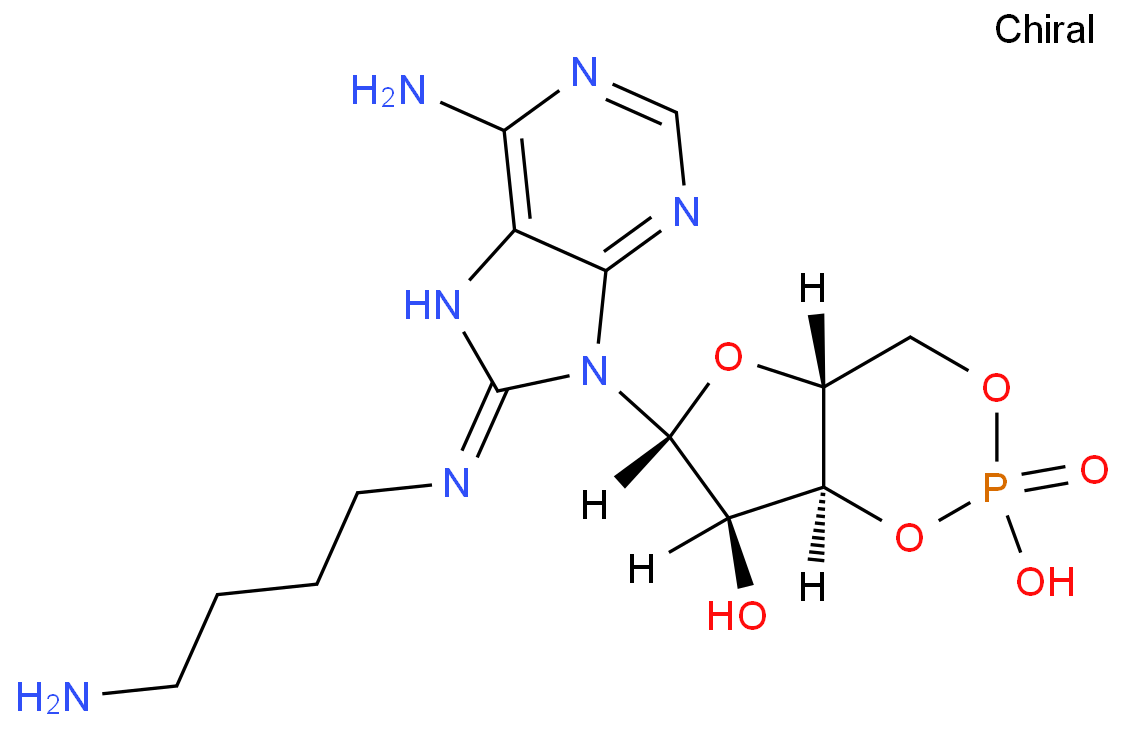 8-(4-AMINOBUTYL) AMINOADENOSINE-3',5'-CYCLIC MONOPHOSPHATE