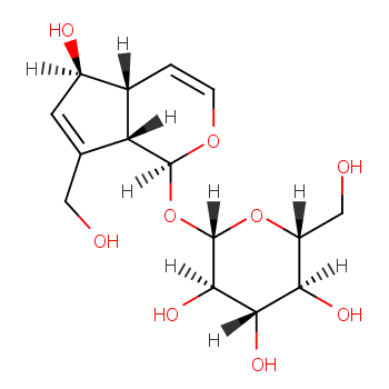 桃叶珊瑚苷（杜仲甙）化学结构式