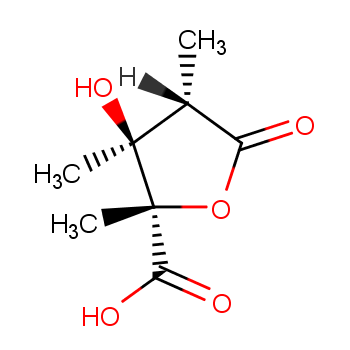 L-Arabinaric acid,2-deoxy-2-methyl-3,4-di-C-methyl-, 1,4-lactone (9CI)  