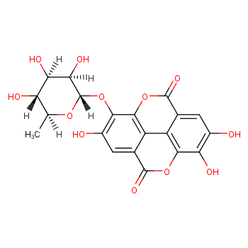 鞣花酸3-O-α-L-鼠李糖苷