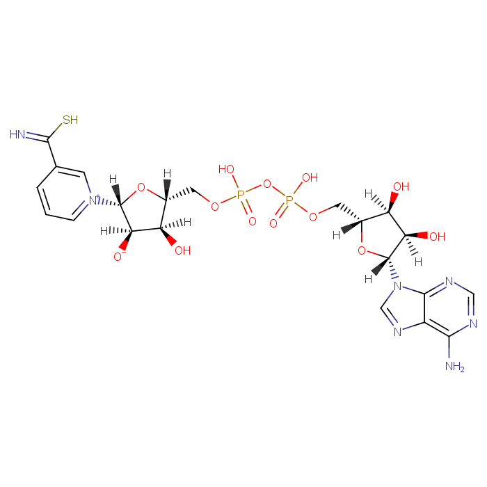 硫代氧化型辅酶I4090-29-3