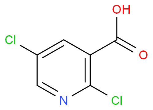 2,5-dichloropyridine-3-carboxylic acid